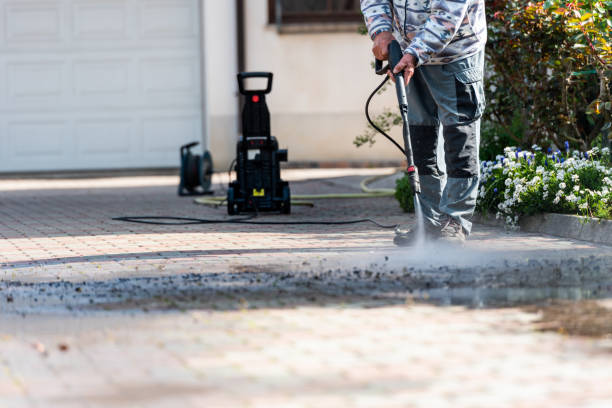 Best Exterior Home Cleaning  in Mount Vernon, IL