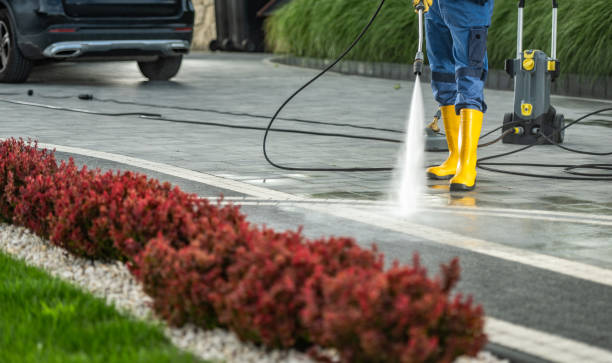 Best Concrete Pressure Washing  in Mount Vernon, IL