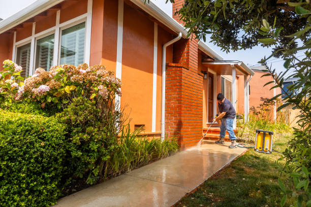 Best Affordable Power Washing  in Mount Vernon, IL