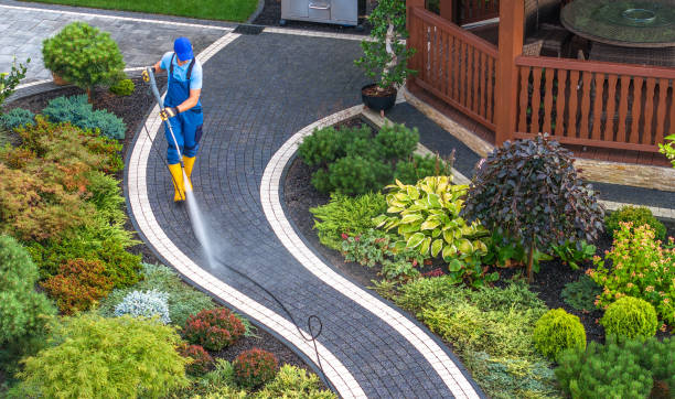Best Fence Pressure Washing  in Mount Vernon, IL