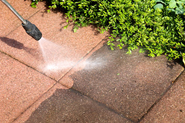 Best Residential Pressure Washing Services  in Mount Vernon, IL
